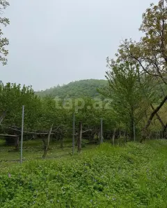 Arsa Satılık