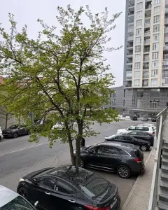 Ofis Kiralık