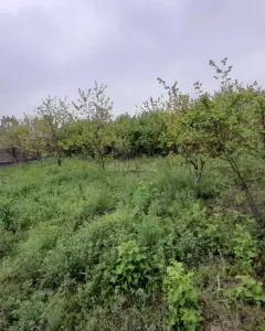 Arsa Satılık