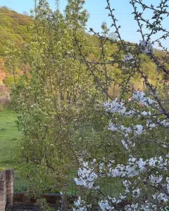 Müstakil Ev, Villa Kiralık