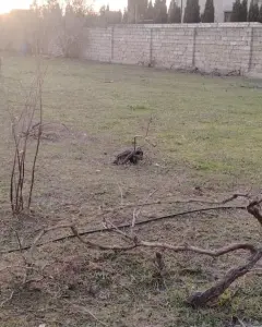 Arsa Satılık