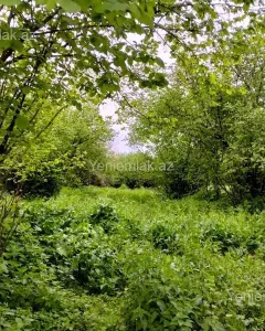 Arsa Satılık