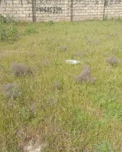 Arsa Satılık