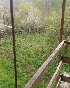 Arsa Satılık
