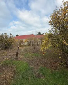 Torpaq sahəsi Satılır