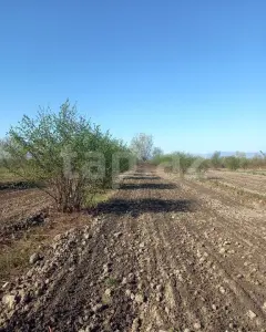 84 sot torpaq sahəsi, Şəki r.