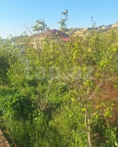 House with Garden, Villa For Sale
