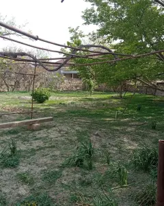 Arsa Satılık