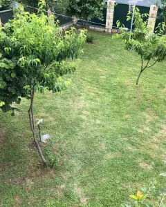 Həyət/Bağ Evi, Villa Kirayə verilir