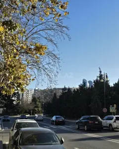 Diğer Ticari Satılık
