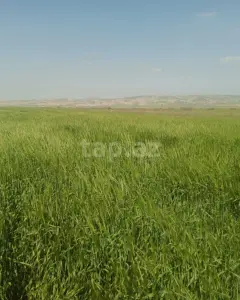 Diğer Ticari Satılık