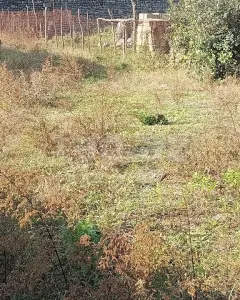 Arsa Satılık