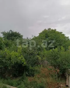 1700 sot torpaq sahəsi, Masazır q...