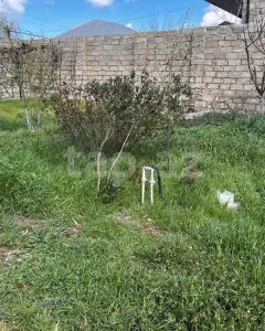 2 sot torpaq sahəsi, Yeni Ramana q...