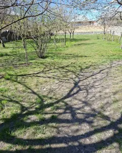 6 sot torpaq sahəsi, Şəki ş.