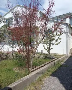 Həyət/Bağ Evi, Villa Satılır