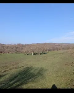 Arsa Satılık