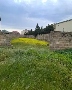 Torpaq sahəsi Satılır