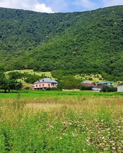 Arsa Satılık