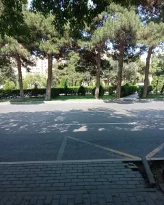 Digər Kommersiya Əmlakı Satılır
