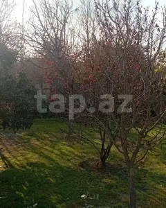 12 sot torpaq sahəsi, Ağdaş r.
