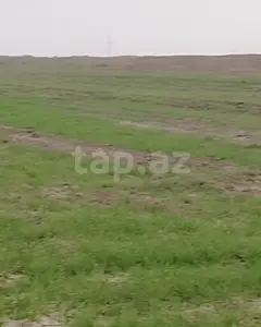 Torpaq sahəsi Satılır