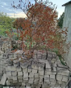 Torpaq sahəsi Satılır