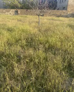 Torpaq sahəsi Satılır