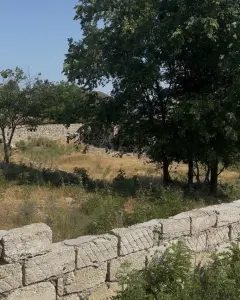Torpaq sahəsi Satılır