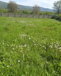 Torpaq sahəsi Satılır