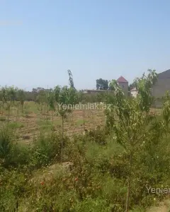 Torpaq sahəsi Satılır