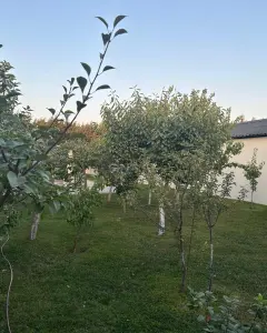 Müstakil Ev, Villa Satılık