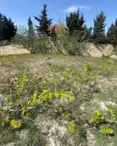Arsa Satılık