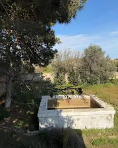 Arsa Satılık