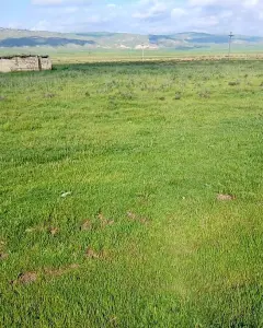 Arsa Satılık