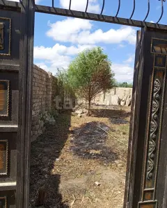 2.5 sot torpaq sahəsi, Əmircan q�...