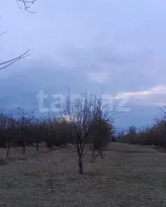 Müstakil Ev, Villa Satılık