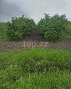 Arsa Satılık