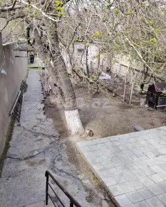 4 sot torpaq sahəsi, Biləcəri q�...