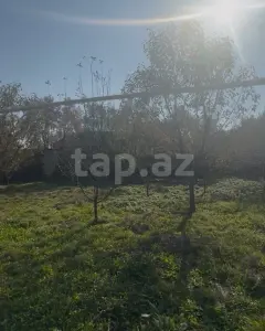 Arsa Kiralık