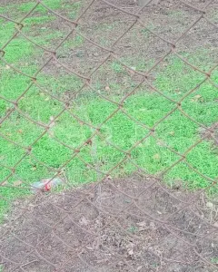 2 sot torpaq sahəsi, Biləcəri q�...
