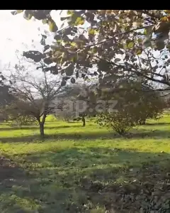 Arsa Satılık