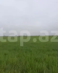 Arsa Satılık