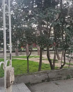 Daire Satılık