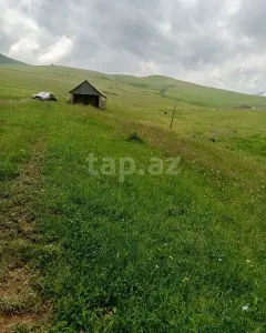 Müstakil Ev, Villa Satılık