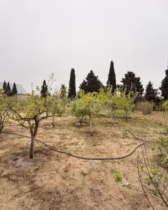 Torpaq sahəsi Satılır