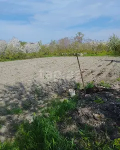 10 sot torpaq sahəsi, Ağdaş Ere�...