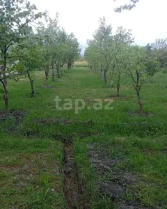 Həyət/Bağ Evi, Villa Satılır