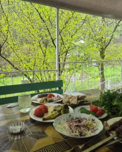Həyət/Bağ Evi, Villa Kirayə verilir