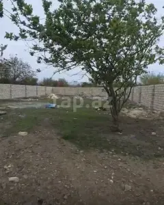 9 sot torpaq sahəsi, Samux r.